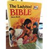 Stock image for Bible Story Book (Large Gift) for sale by -OnTimeBooks-