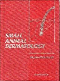 9780721624167: Small Animal Dermatology