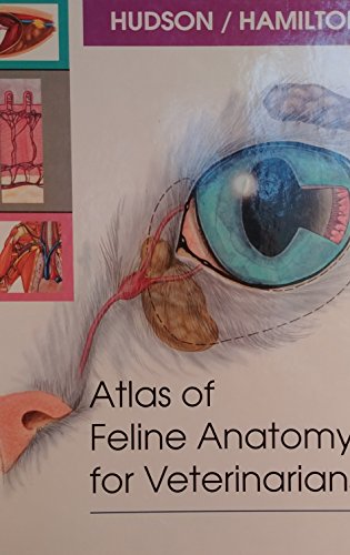 9780721640044: Atlas of Feline Anatomy for Veterinarians
