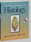 Imagen de archivo de Color Textbook of Histology a la venta por SecondSale