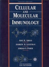 Beispielbild fr CELLULAR AND MOLECULAR IMMUNOLOGY. zum Verkauf von Cambridge Rare Books