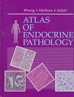 Beispielbild fr Atlas of Endocrine Pathology: A Volume in the Atlases in Diagnostic Surgical Pathology Series zum Verkauf von HPB-Red