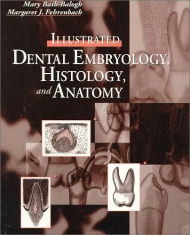 Beispielbild fr Illustrated Dental Embryology, Histology, and Anatomy zum Verkauf von Irish Booksellers