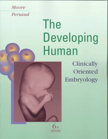 Stock image for The Developing Human: Clinically Oriented Embryology for sale by GF Books, Inc.