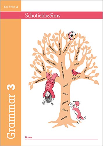 9780721713946: Grammar and Punctuation Book 3: Year 3, Ages 7-8