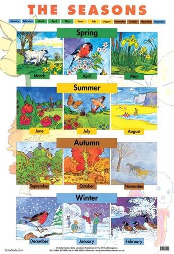 9780721755144: Seasons (Laminated posters)