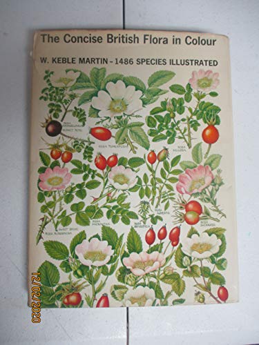 Stock image for Concise British Flora in Colour for sale by WorldofBooks