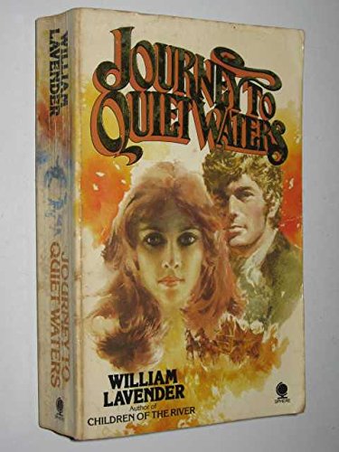 Imagen de archivo de Journey to the Quiet Waters a la venta por WorldofBooks
