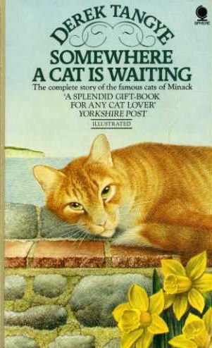 9780722183618: SOMEWHERE A CAT IS WAITING