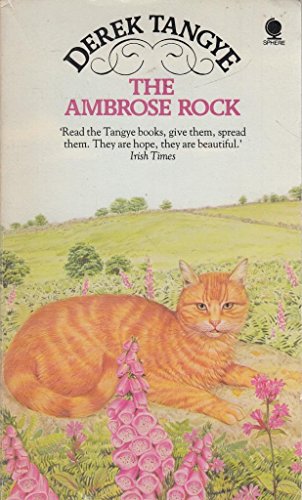Beispielbild fr The Ambrose Rock zum Verkauf von ThriftBooks-Dallas