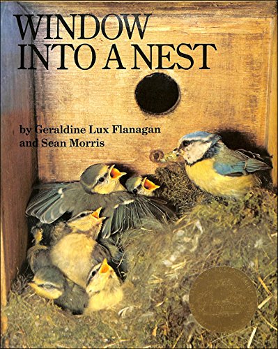 Beispielbild fr Window Into a Nest zum Verkauf von WorldofBooks