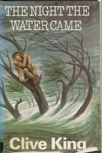 Imagen de archivo de The NIght The Water Came. a la venta por Little Owl Books