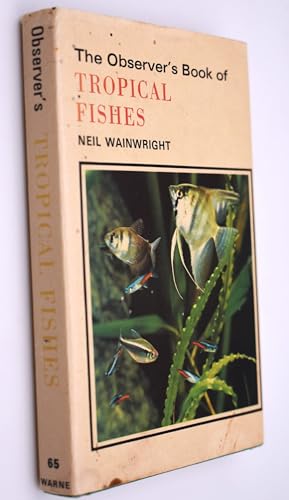 Stock image for Observer's Book of Tropical Fishes - guter Zustand incl. Schutzumschlag for sale by Weisel