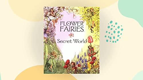 9780723244578: The Secret World of the Flower Fairies