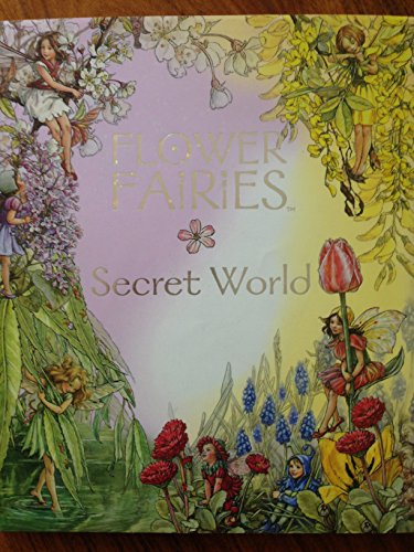 9780723248439: Flower Fairies Secret World