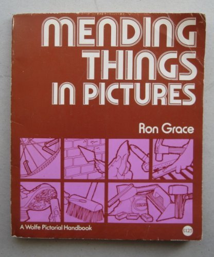 Stock image for Mending Things in Pictures for sale by AwesomeBooks