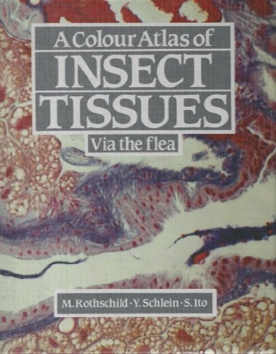 9780723408918: Colour Atlas of Insect Tissue Via the Flea, A (A Wolfe science book)