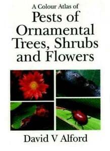 Imagen de archivo de A Colour Atlas of Pests of Ornamental Trees, Shrubs and Flowers Alford BSc PhD FRES, David V. a la venta por Broad Street Books