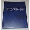 Beispielbild fr McMinn's Color Atlas of Human Anatomy zum Verkauf von SecondSale