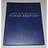 9780723426417: McMinn's Color Atlas of Human Anatomy