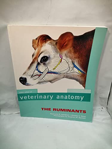 9780723426622: Color Atlas of Veterinary Anatomy: The Runimants (1)