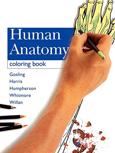 9780723429197: Human Anatomy Coloring Book