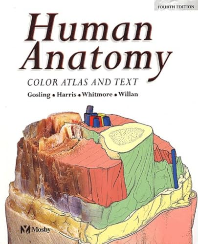 Stock image for Human Anatomy: Color Atlas and Text for sale by Brit Books