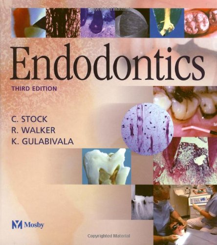 Stock image for Endodontics for sale by Books From California