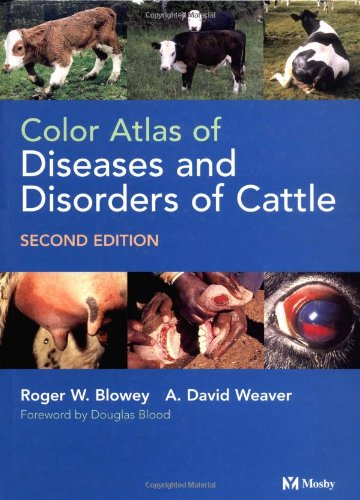 9780723432050: Color Atlas Od Diseases And Disorders Of Cattle. 2nd Edition