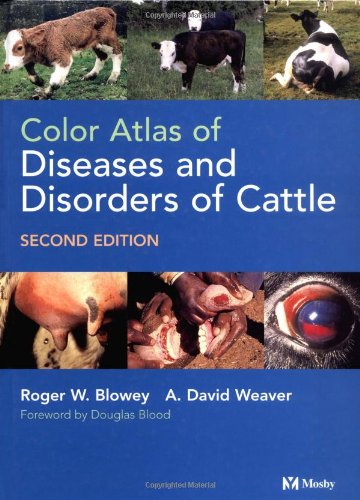 Stock image for Color Atlas of Diseases and Disorders of Cattle for sale by Studibuch