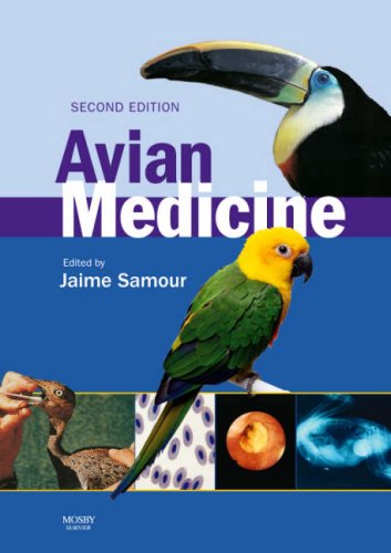 9780723434016: Avian Medicine