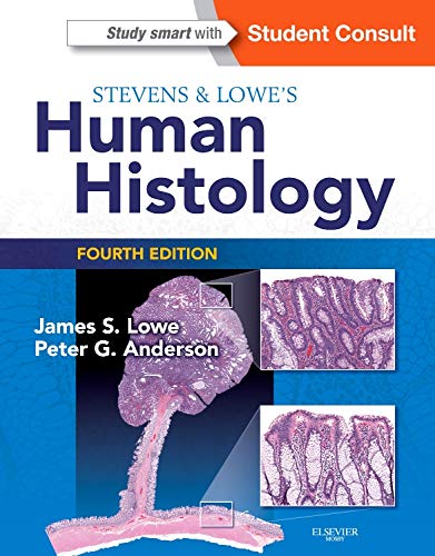 9780723435020: Stevens & Lowe's Human Histology, 4e