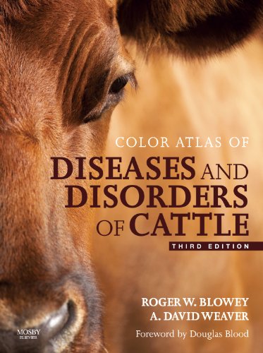 9780723436027: Color Atlas of Diseases and Disorders of Cattle Text and Evolve eBooks Package