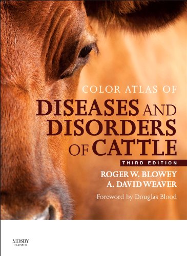9780723437789: Color Atlas of Diseases and Disorders of Cattle, 3e