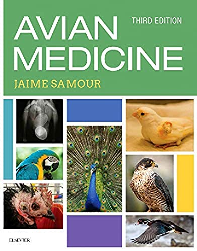 9780723438328: Avian Medicine