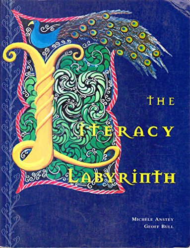 Stock image for THE LITERACY LABYRINTH for sale by Dromanabooks