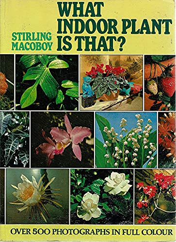 Stock image for What Indoor Plant is That ? for sale by Syber's Books