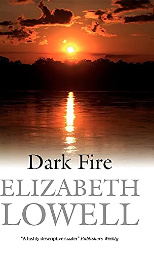 Imagen de archivo de Dark Fire a la venta por Better World Books