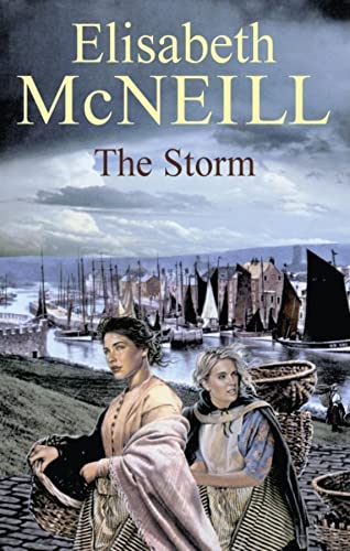 Imagen de archivo de The Storm (Severn House Large Print) a la venta por WorldofBooks