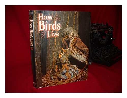 Stock image for How Birds Live (How animals live) for sale by AwesomeBooks