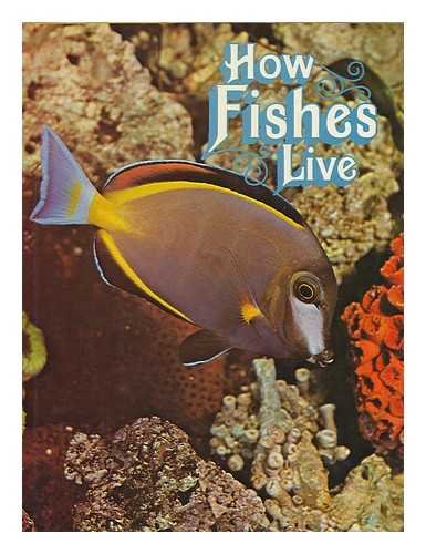 Stock image for How Fishes Live for sale by Better World Books