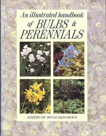 Stock image for An Illustrated Handbook Of Bulbs & Perennials for sale by Marlowes Books and Music