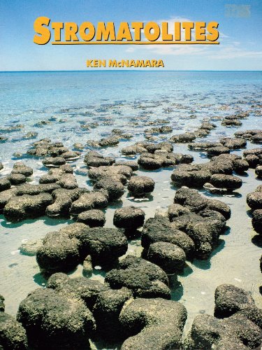 Stock image for Stromatolites for sale by ThriftBooks-Dallas