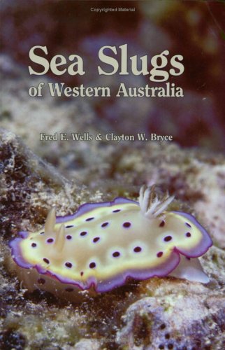 Stock image for Sea Slugs of Western Australia for sale by Aaron Books