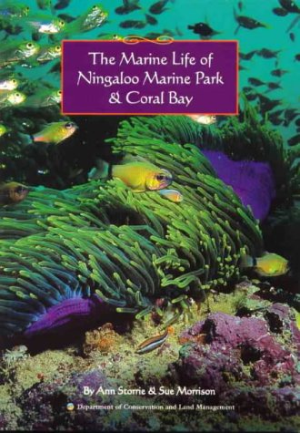 Stock image for The Marine Life of Ningaloo Marine Park Coral Bay for sale by Zoom Books Company