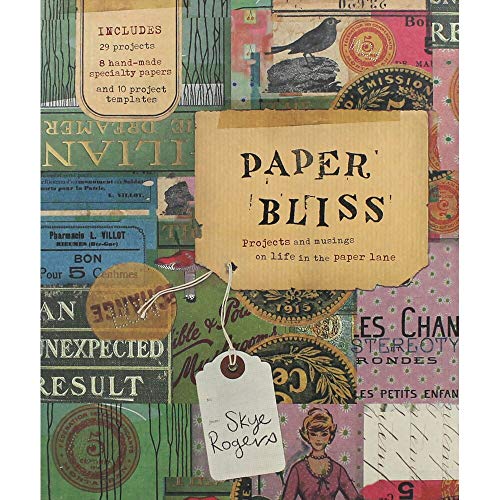 Beispielbild fr Paper Bliss: Projects and Musings on Life in the Paper Lane zum Verkauf von WorldofBooks