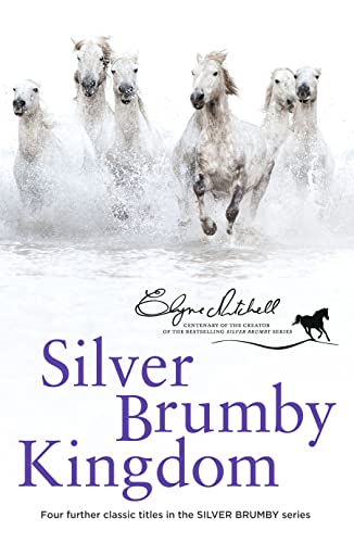 9780732297695: Silver Brumby Kingdom (Silver Brumby Series)