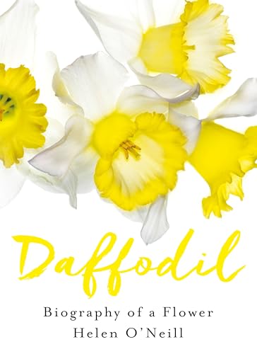 Stock image for Daffodil for sale by WorldofBooks