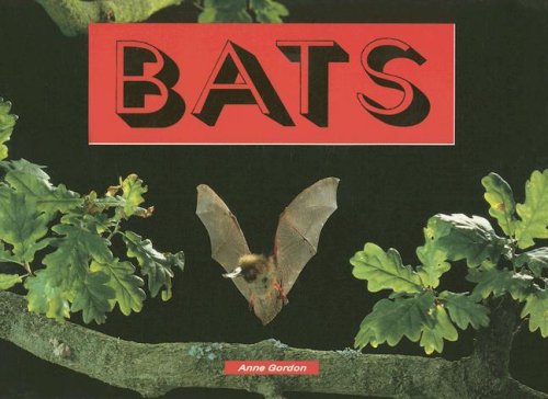 Beispielbild fr Bats (Literacy 2000) zum Verkauf von Hawking Books