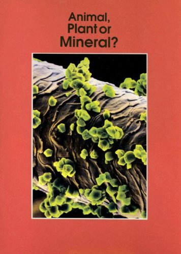 Imagen de archivo de Animal, Plant or Mineral? (Informazing)" a la venta por Hawking Books